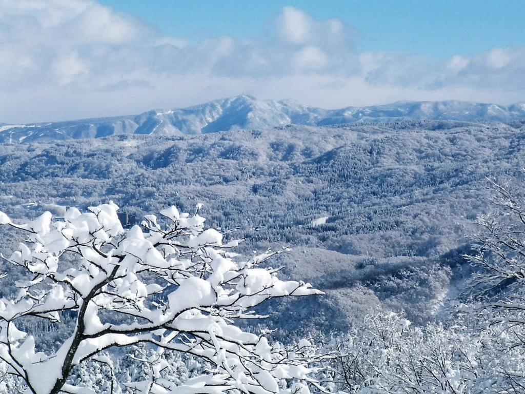 ホテル Edelweiss Akakura 妙高市 エクステリア 写真